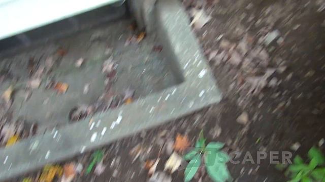 John 2 Voles 2   All Tied Up