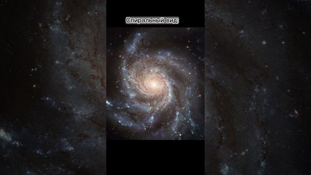 ✅ВИДЫ ГАЛАКТИК): смотреть онлайн