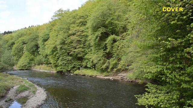 Looking For A Summer Chris Rea COVER смотреть онлайн