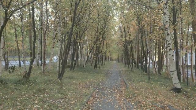 Мончегорск, прогулка-2 смотреть онлайн