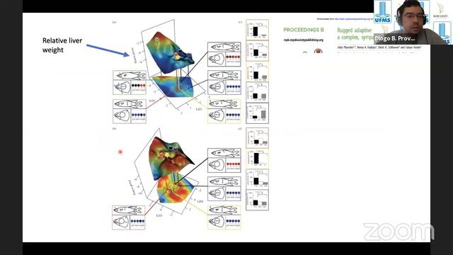 IIWCE | Eco-evolutionary dynamics | Diogo B. Provete | #5 смотреть онлайн