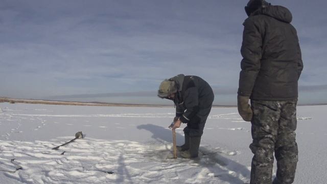 как поймать ведро бормаша или мормыша, за 10 минут.