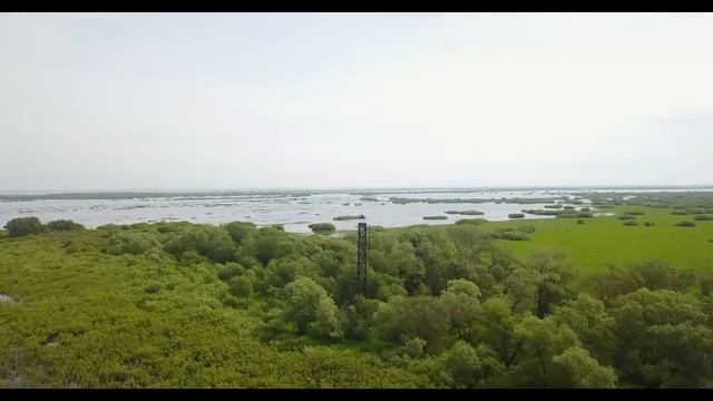 акватория оз Ильмень на 21 08 17 смотреть онлайн