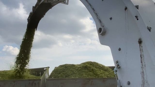 Как добиться лучших надоев? смотреть онлайн