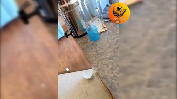 Суетолог со стажем / Experienced vanity specialist 2021