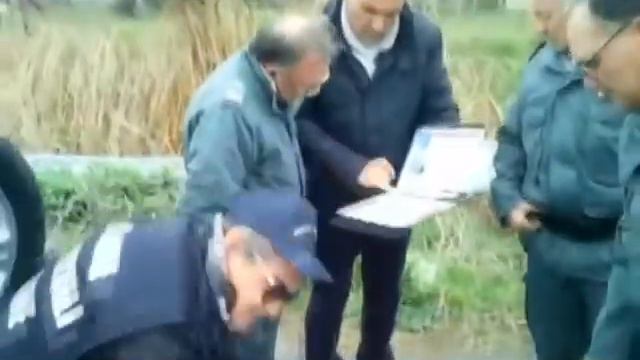 TG del 24 01 14 смотреть онлайн