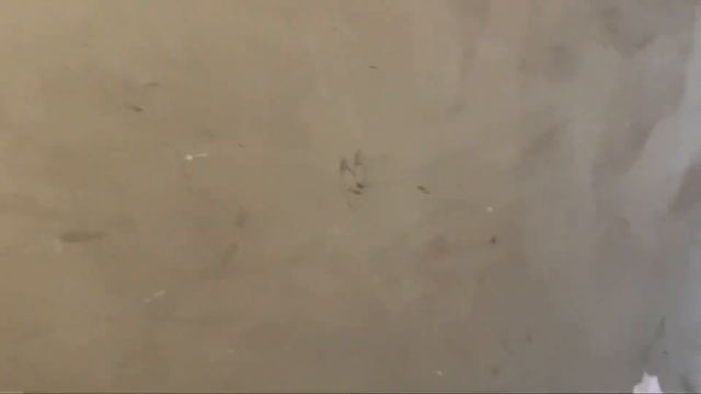 Треснет стена - не крась! смотреть онлайн