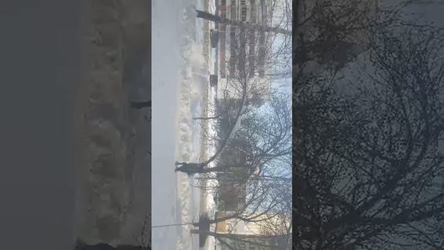 за моим окном