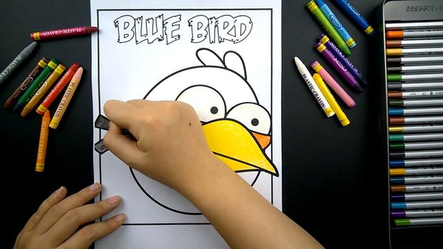 Coloring Angry Bird - Blue Angry Bird - Creative Coloring Play House смотреть онлайн