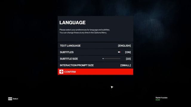 How To Change Language Hitman 3