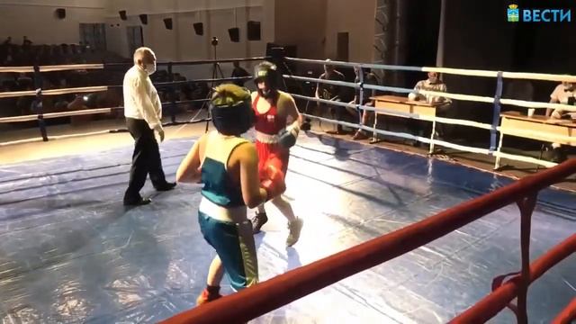 05 06 2021 Межмуниципальный турнир по боксу в Арамильском ГО смотреть онлайн