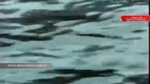Бруно Монсенжон в Одессе