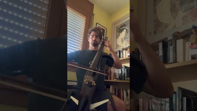 Mutter - Rammstein cello cover смотреть онлайн