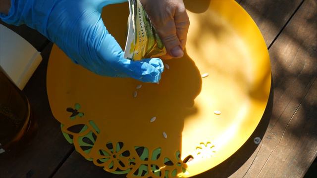 РАССАДА НЕ НУЖНА? смотреть онлайн