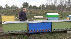 Метод пчеловодства в лежаках - 3 улья лежака и 2 пчелосемьи