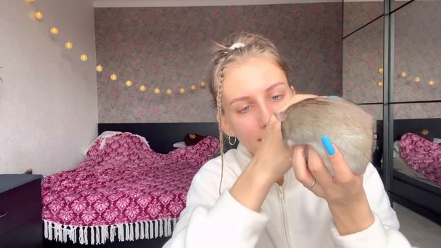 Как выбрать здоровую крысу ? | Уборка в клетке у крыс ? смотреть онлайн