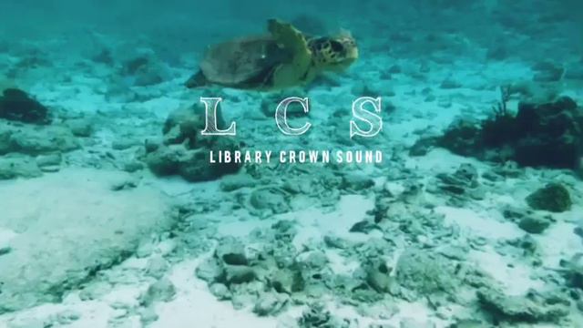 Library Sound | New dawn sound смотреть онлайн