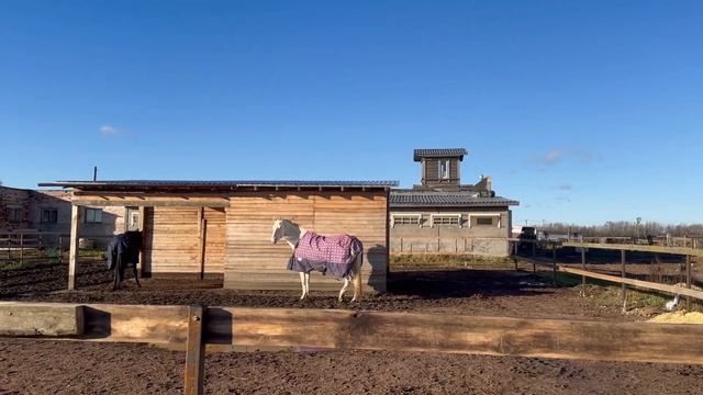 Делаем хороший грунт в леваде , этапы и стоимость. смотреть онлайн