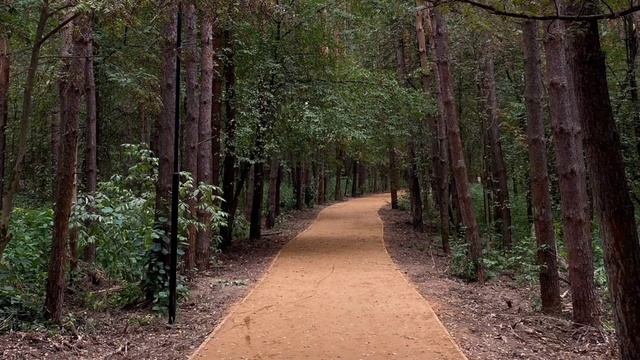 Как заслужить уважение? смотреть онлайн