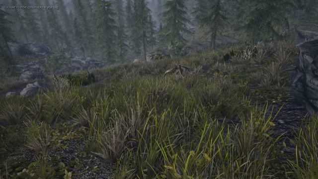 Skyrim Mods - New Monsters and Creatures by 4thUnknown смотреть онлайн