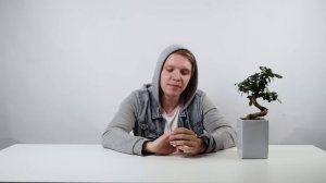 Топ 10 ящериц для содержания дома.