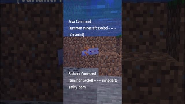 How to Get a BLUE Axolotl Minecraft 1.17 | Java & Bedrock | #shorts смотреть онлайн