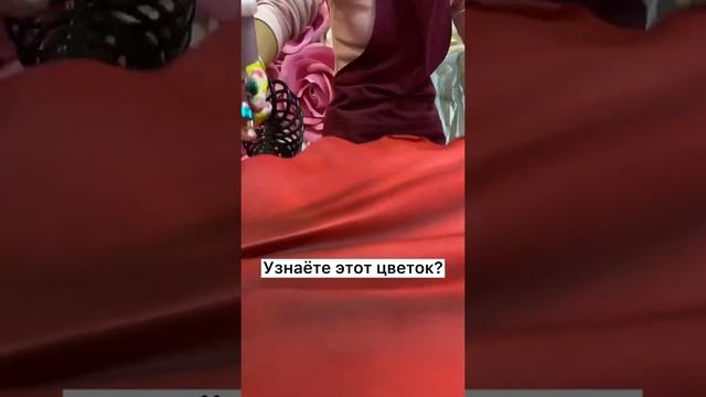 Угадаете название этого цветка?? смотреть онлайн