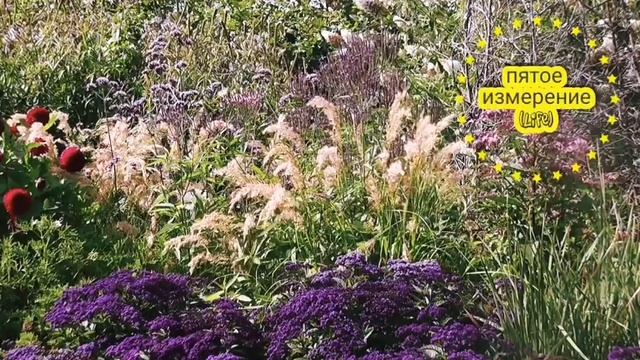 ?Славянская-этническая музыка, наполненная высокими вибрациями, для йоги, медитации, релакса! смотреть онлайн