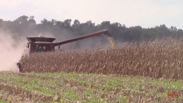 CASE IH 6150 Axial-Flow Combine Harvesting Corn смотреть онлайн