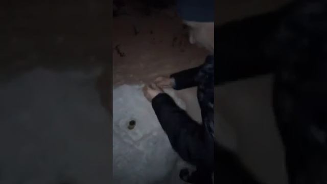 Салют-фейерверк КАТАПУЛЬТА смотреть онлайн