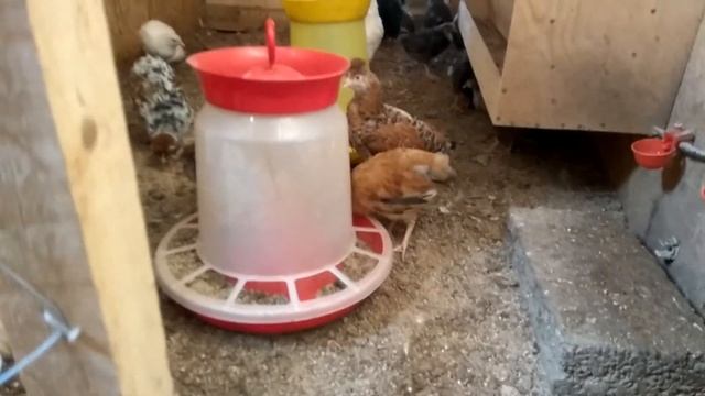 Строительный Квест