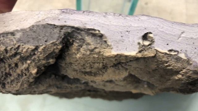 Первый аквариумный завод обзор декоративных фонов смотреть онлайн