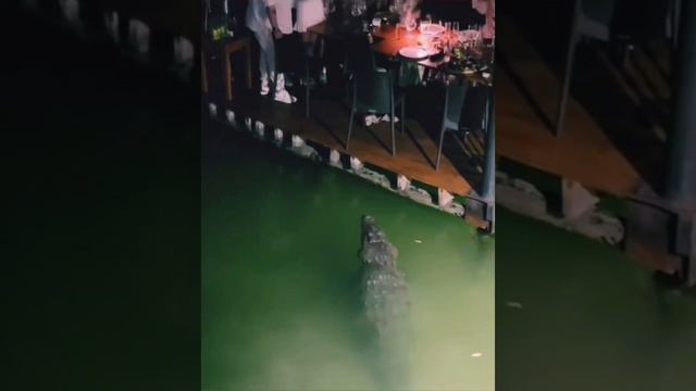 У кого фуршет???