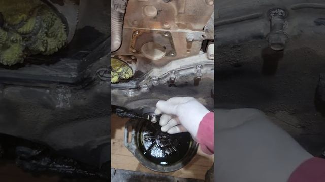 something SHADY on this repair ?, silicone don't SMELL right Cummins 6.7 Oil Leak #diesel #truck смотреть онлайн