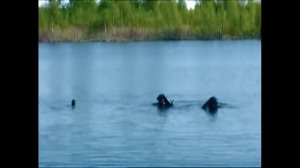 Озеро без дна!!! Бездонное озеро в подмосковье