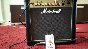 MARSHALL MG15FX