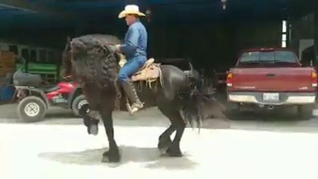 MARIO LOPEZ A CABALLO - FRISON EL PILINGAS смотреть онлайн