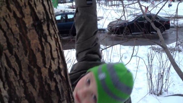 Висел на дереве 2 метра смотреть онлайн