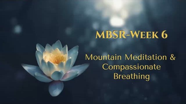 MBSR Week 6: Mountain Meditation