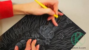 Большой набор для рисования. Обзор гравюры от "Danko Toys" (L-ГРА4-01з,02з,03з...24з)