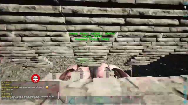 ARK: The Last Day X2 to Take Care of Baby Wyvern and Deino | Replay Gameplay смотреть онлайн
