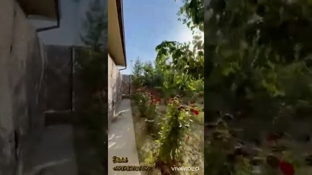 продам евродом юнусабад,3.5 сотки, цена 320000 у.е,#недвижимостьТашкента смотреть онлайн