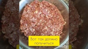 Корм для кошек своими руками.