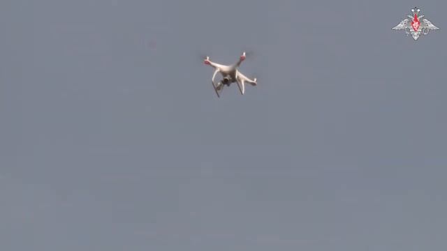 Тренировка по управлению беспилотниками в Амурской области смотреть онлайн