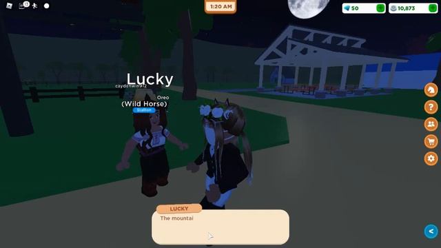 Finding Spirit For The New Update! | Roblox Horse Valley смотреть онлайн
