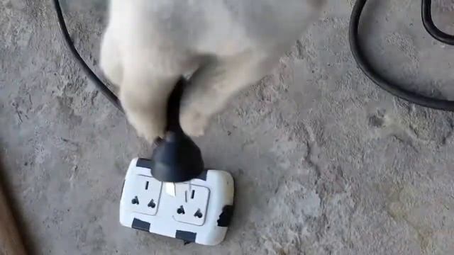 Amoladora/Esmeriladora/Radial Angular Stanley SGS1045 - Unboxing y Review + Uso de discos + Tips смотреть онлайн