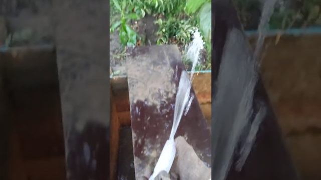 Абиссинка в СНТ Смородинка 3 скважина смотреть онлайн