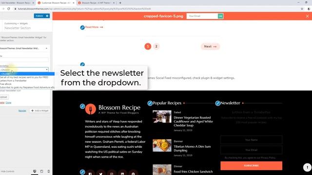 How to configure the newsletter section on homepage | Blossom Recipe WordPress Theme смотреть онлайн