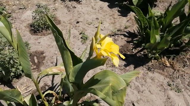 Вкусные Истории