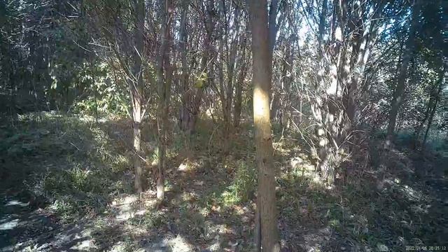 4K video камерой sm33 -очками , продолжение. смотреть онлайн